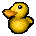 animal-ducky